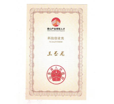 喜報(bào) | 青島佳恩半導(dǎo)體總經(jīng)理王丕龍榮獲“泰山產(chǎn)業(yè)領(lǐng)軍人才”稱(chēng)號(hào)